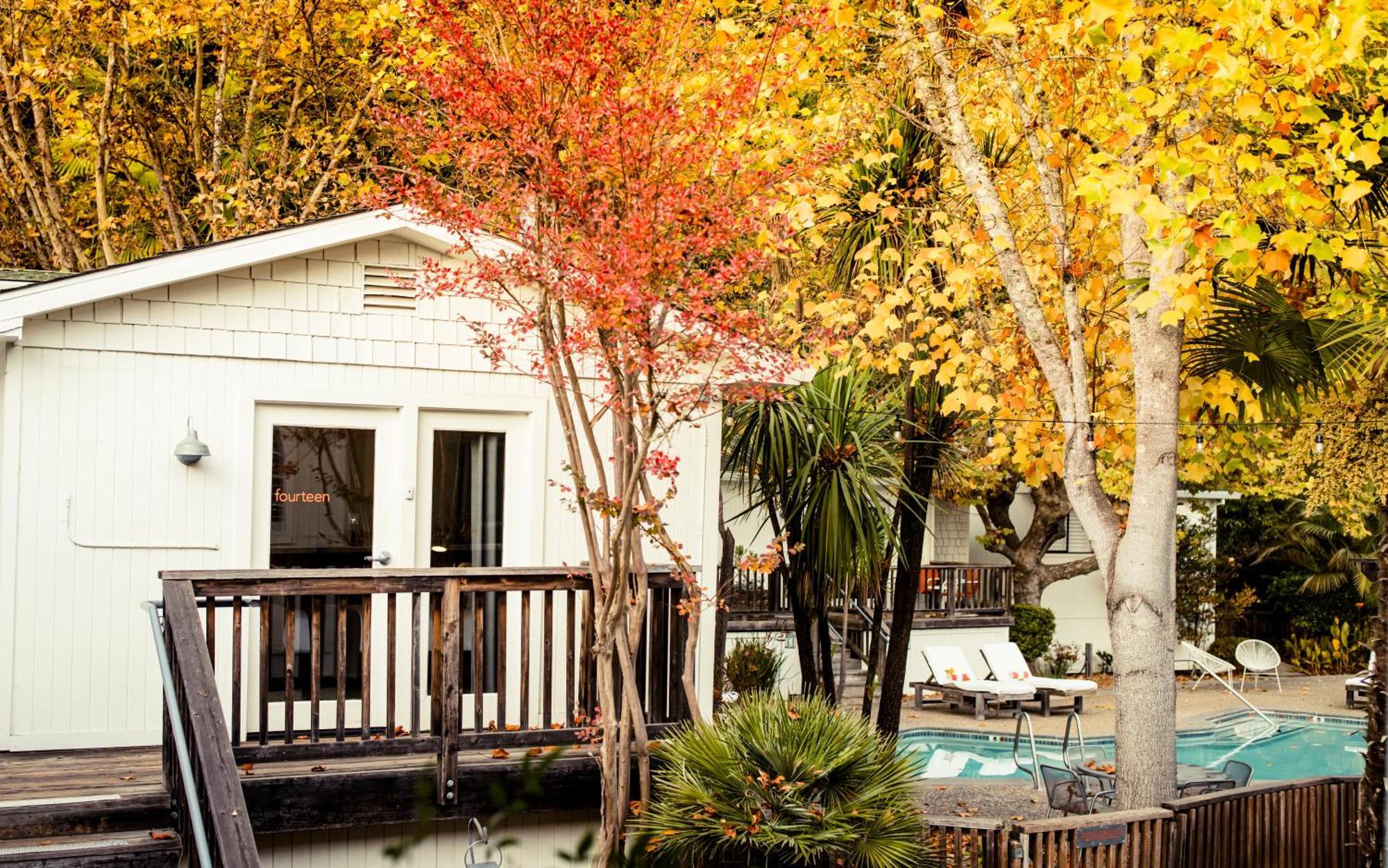 Boon Hotel + Spa - Adults Only Guerneville Pokój zdjęcie